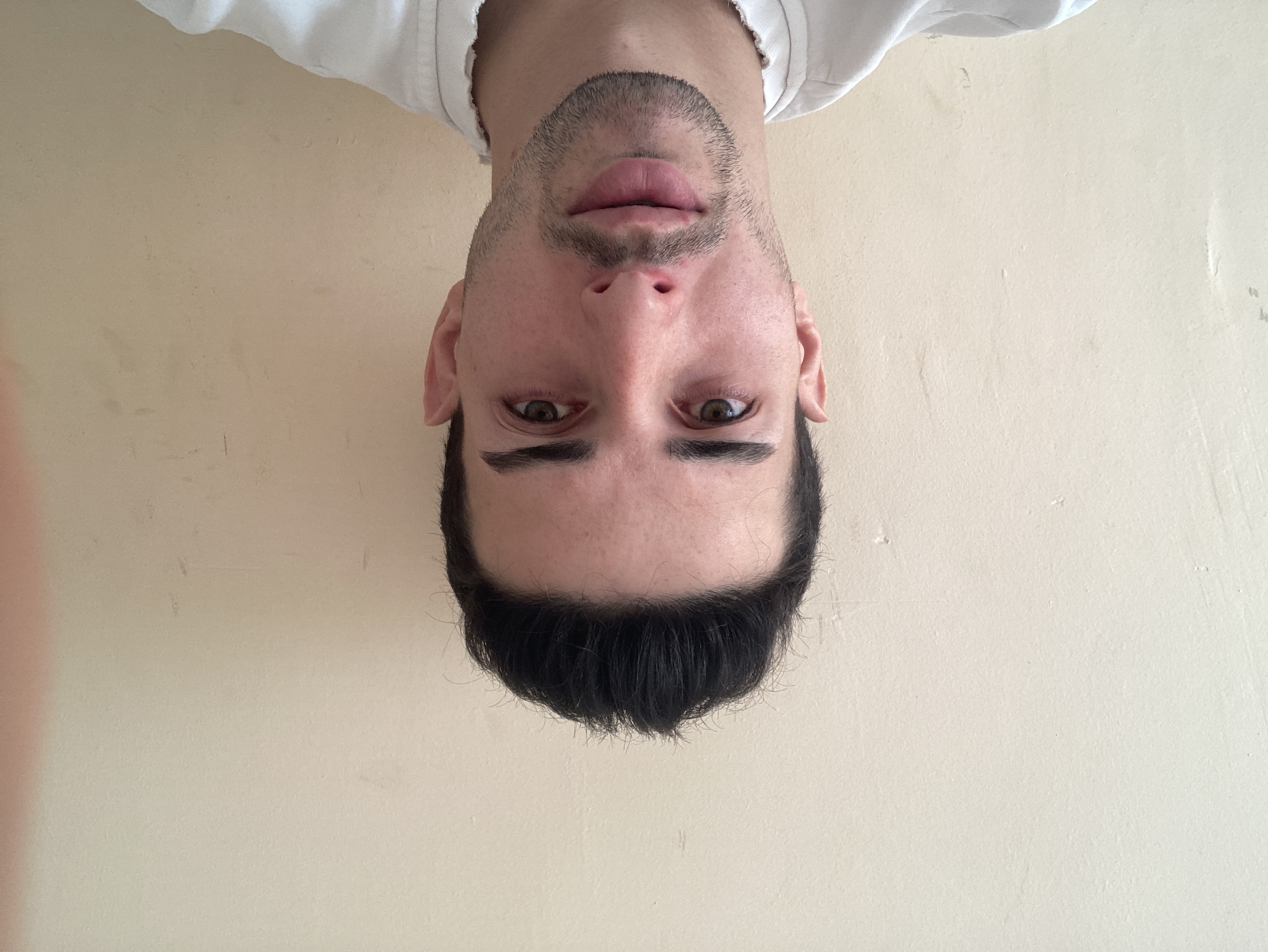BURAL GEYİK