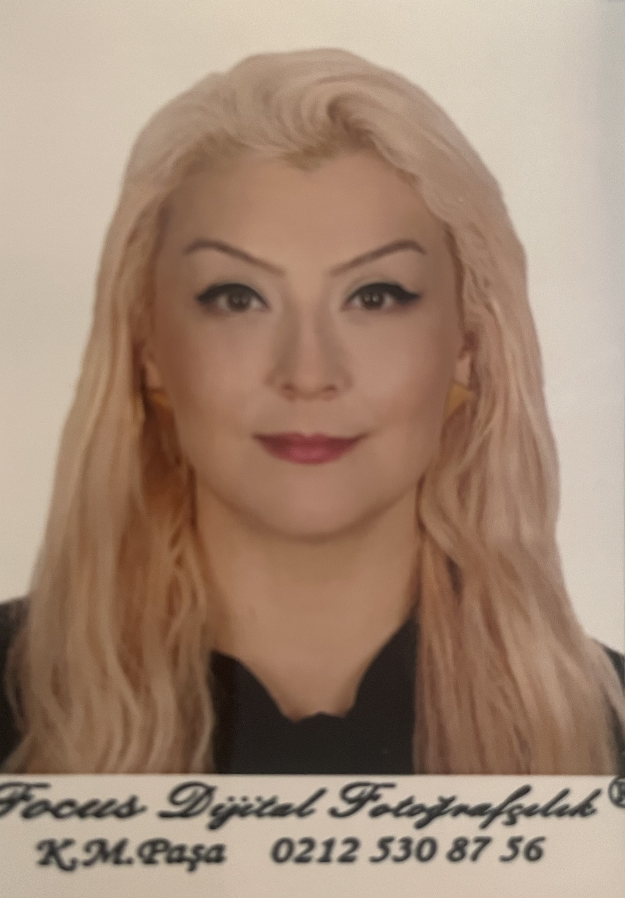 Handan Dolunay İDİLLİLER